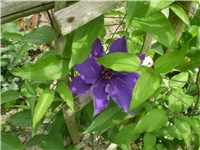 583905ef-Picture 5922.jpg